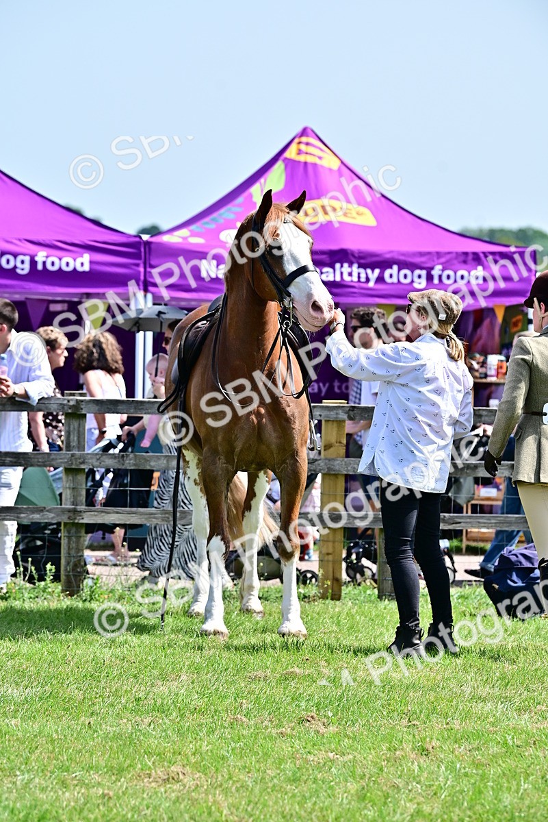 SBM_03918 - Class 58 - TSR  Ridden Veteran Amateur of the year