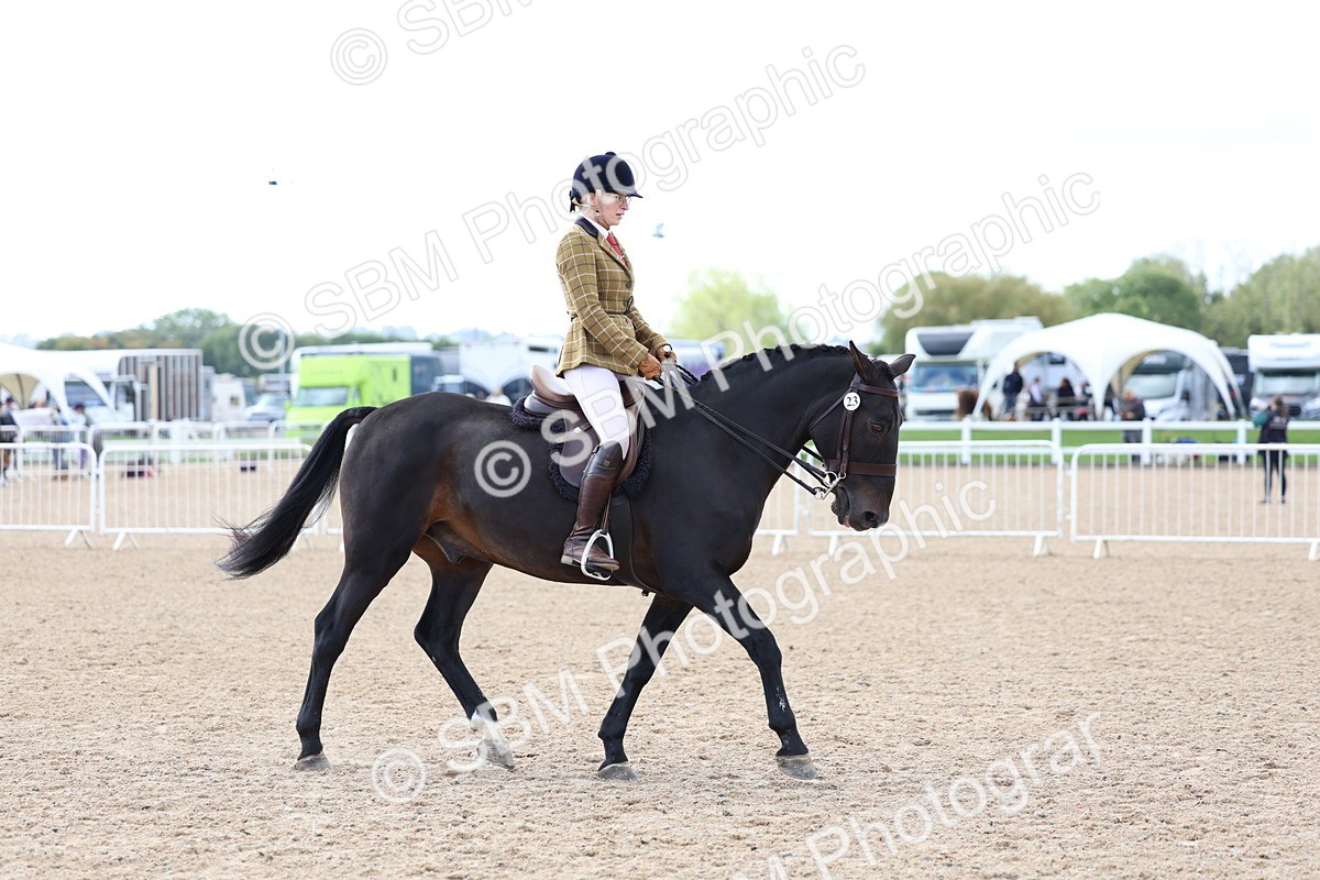 SBM_10078 - Class 304 - Ridden Part Bred Horse Pony