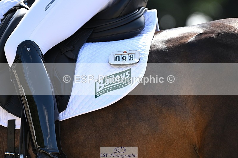 250808A-160139-01976 - 098-Miss.Hannah.BiggsDIsneys.Fantasia.SFS