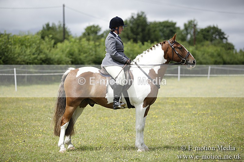 BVR160717-1910 - Ring 1 BVRC Show 16/07/17