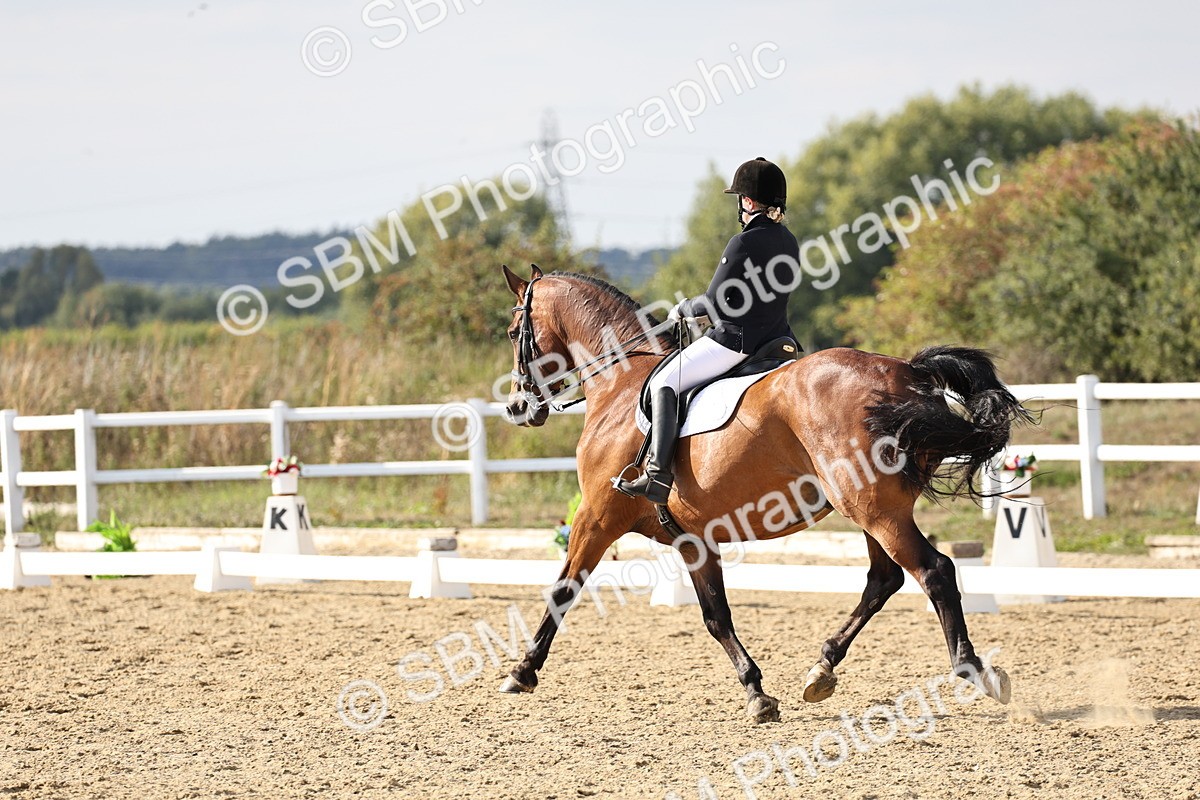 SBM_015428 - Class 9 - Advanced medium 3