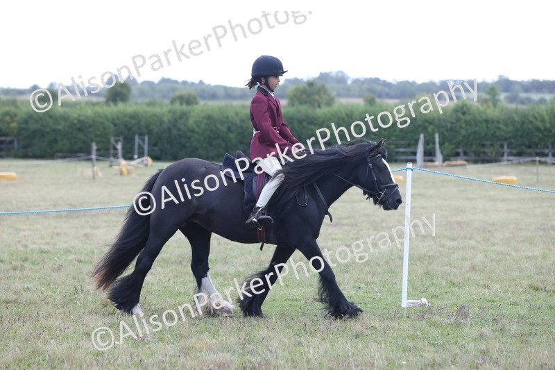 20250831-2365 - Class 16 - Family Pony