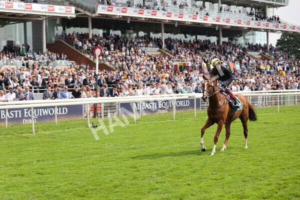yr20082021r2-71 - Race 2 2.25pm Weatherbys Hamilton Lonsdale Cup (British Champion Series race)