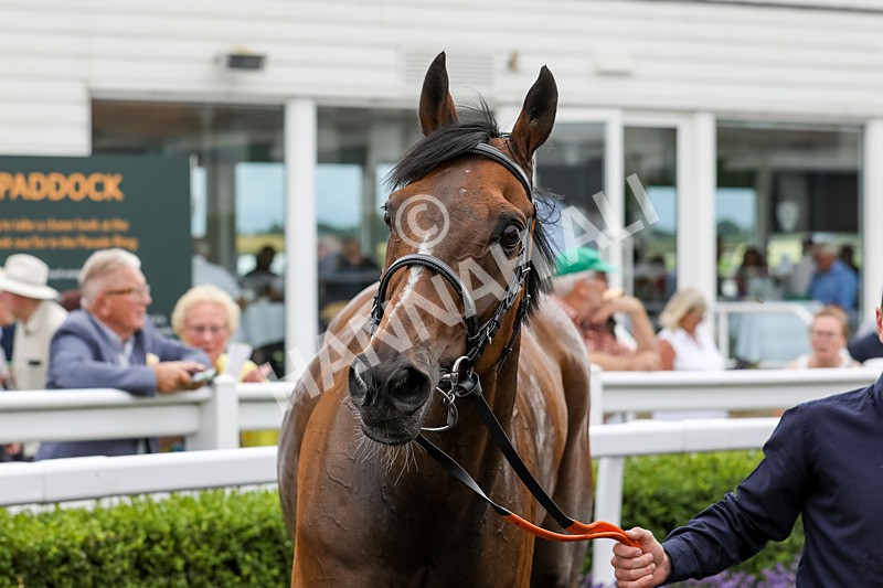 240724-Race 5-Furzig-3663 - Race 5