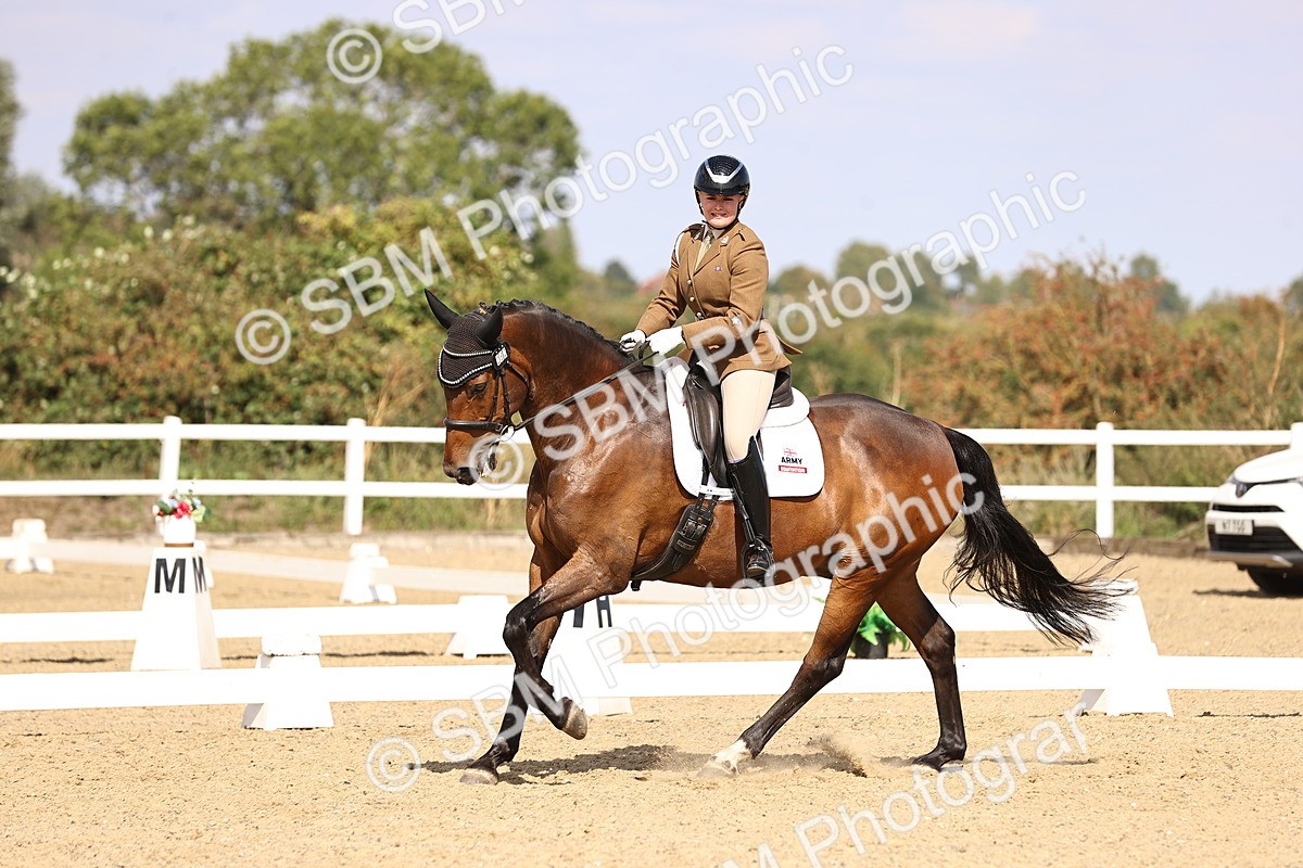 SBM_015116 - Class 6 - Elementary 5