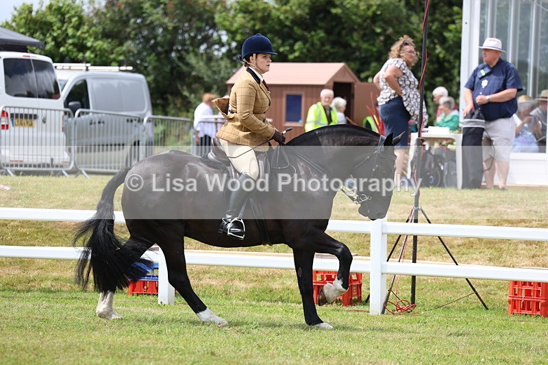 3E7A1922 - Class 10: Open Cob