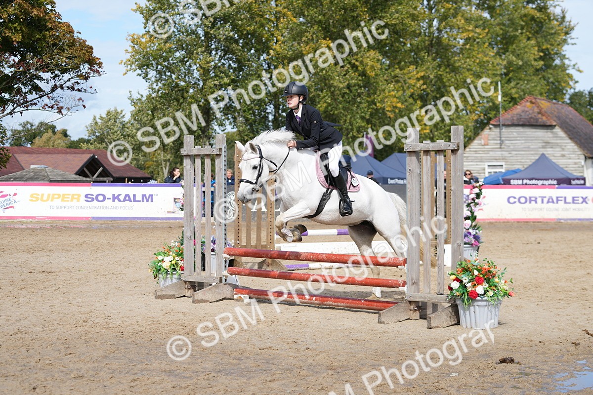 SBM_40790 - Supreme Championship Pony 50-55cm