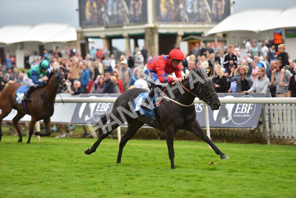 yr23072021r6-21 - Race 6 8.30pm Sky Bet Go-Racing-In-Yorkshire Summer Festival Stakes
