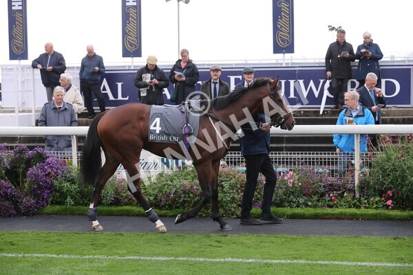 yr07102022r3-7 - Race 3 3.15pm British EBF £100,000 2yo Series Final (Colts and Geldings)