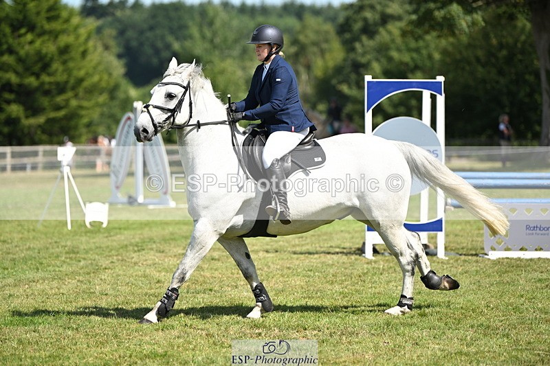 250704A-104002-07029 - Cls 25 Snr British Novice and 90cm