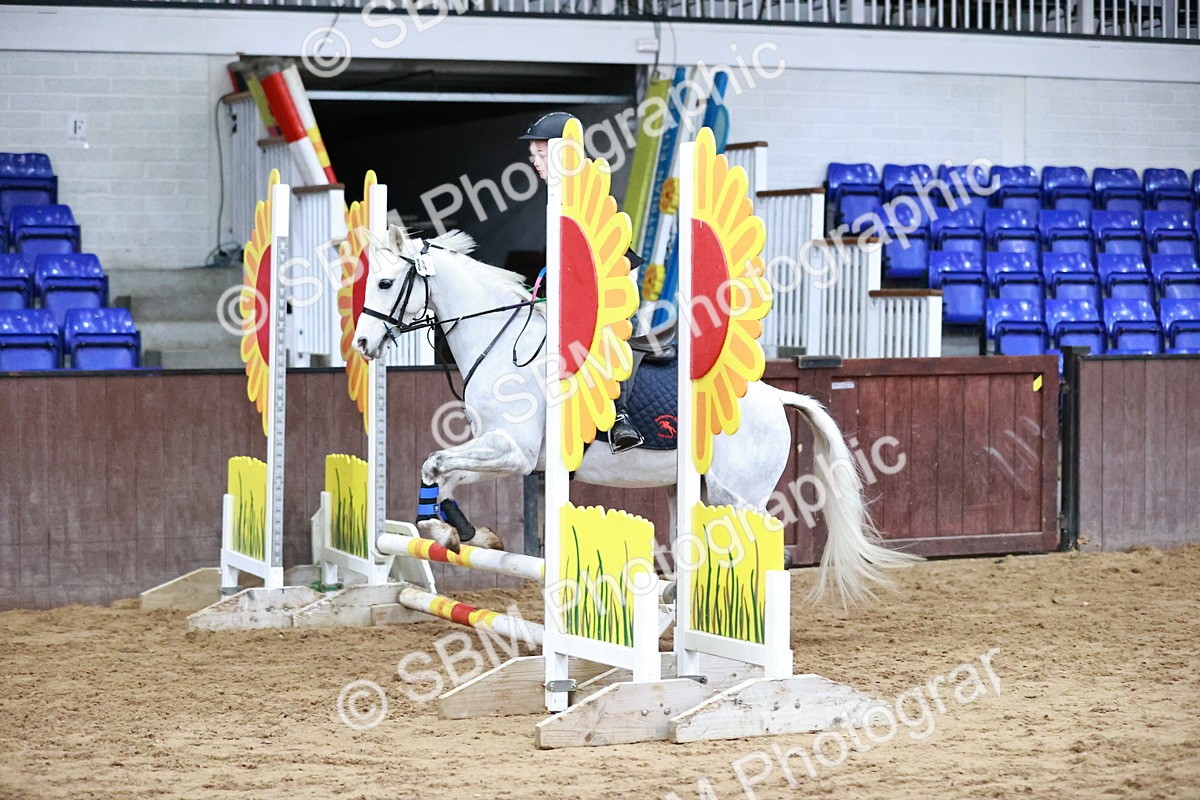 SBM_000500 - Class 2 - Show Jumping 50cm