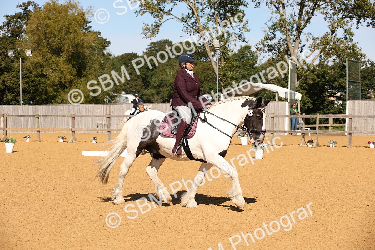 SBM_21658 - D5 - Small Tour Championship - Intro C