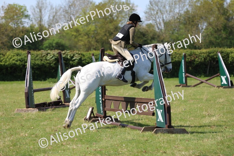 20250427-2607 - Class 20 - Working Hunter Ponies