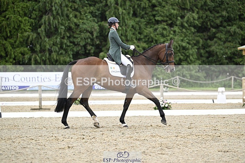 000101-212552-04298 - 412-WELLFIELDS_LINCOLN-Susie_Berry