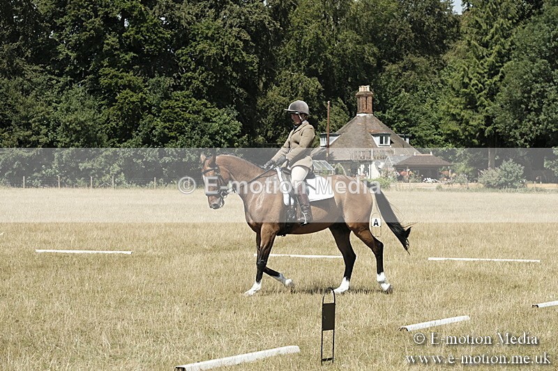_PJP5890 - Dressage Classes BVRC Show 2018