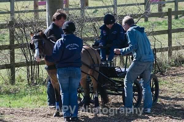 _DSC0088 - Ashfields Carriage & Polo Club