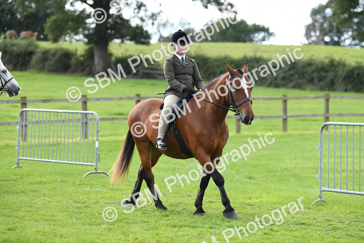 SBM_46692 - S12 - Family Horse & Pony