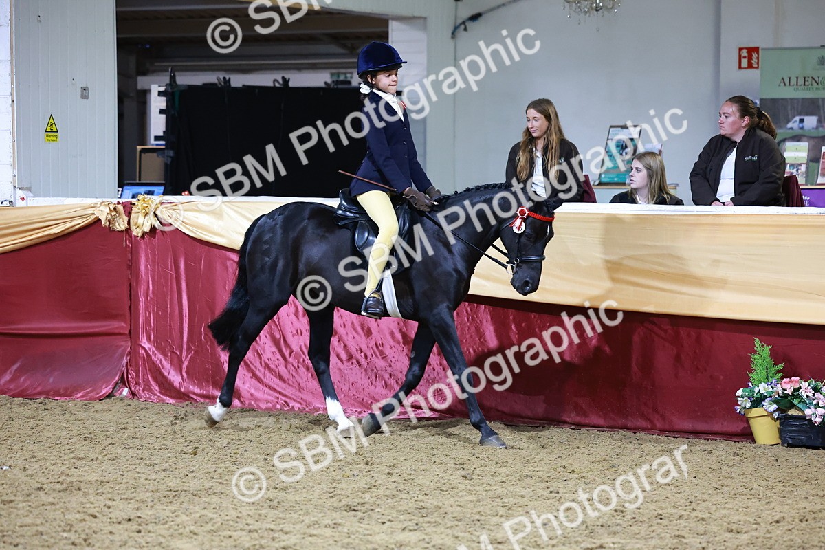 SBM_20903 - Class M - Equitation Champ