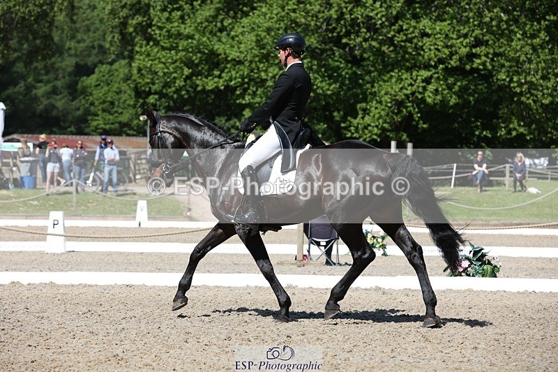 230526-103948-05304 - 363-RLE_KHALEESI_C-Christopher_Wincer-WEDTrotUp+DR