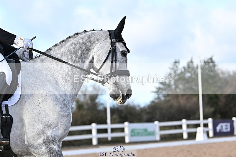 241214-133456-01978 - 154-Joe.Roome-SJL.King