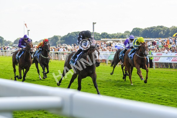 160623-Race 3-Radio Goo Goo-0401 - Race 3 3.00pm British EBF Supporting Racing With Pride Fillies' Handicap