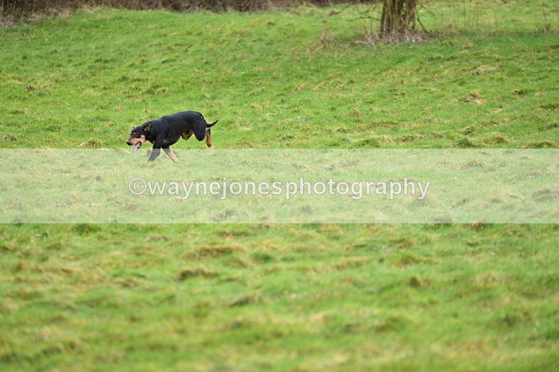 WJ5_4325 - Cam A