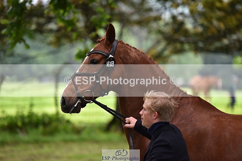 240522-163926-01071 - 265-GREANNANSTOWN_MONBEG_JOE-Finn_Healy