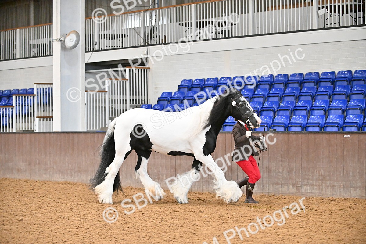 SBM_000676 - Class 11,12,13 - SSADL In Hand Seniors