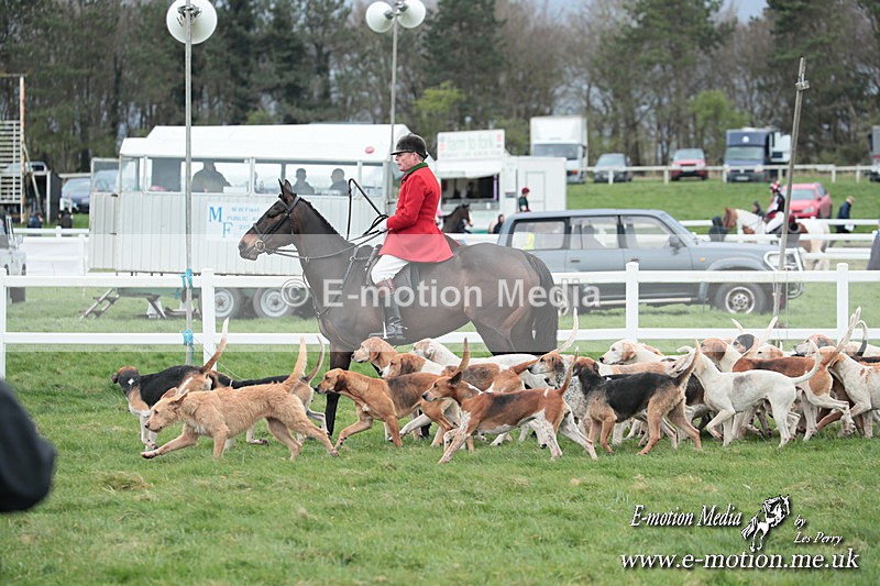 PtP 230324 21 - Tedworth Hunt PtP Larkhill Raccourse 23rd March 2024