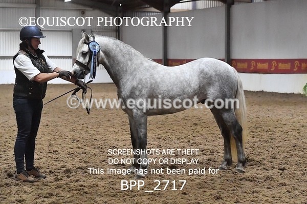 BPP_2717 - LOOSE JUMPING / SPSS