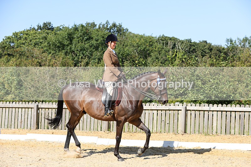 1X9A7863 - Class 10:Riding Horse