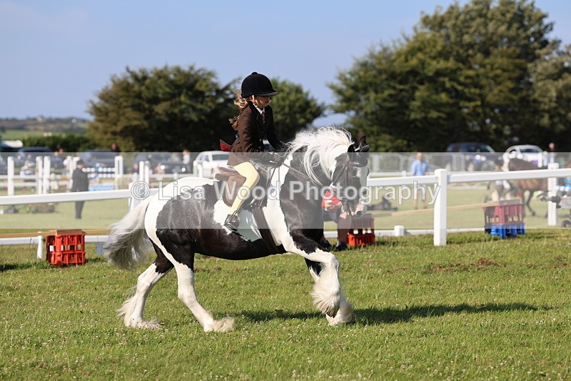 IMG_1504 - Class 30: Ridden Native/Trad Coloured Pony