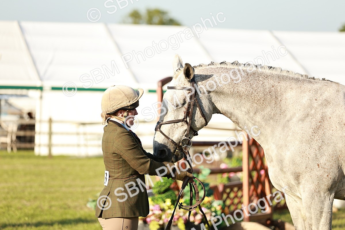 SBM_20552 - Class 117-119 - Sport Horse Working Hunter