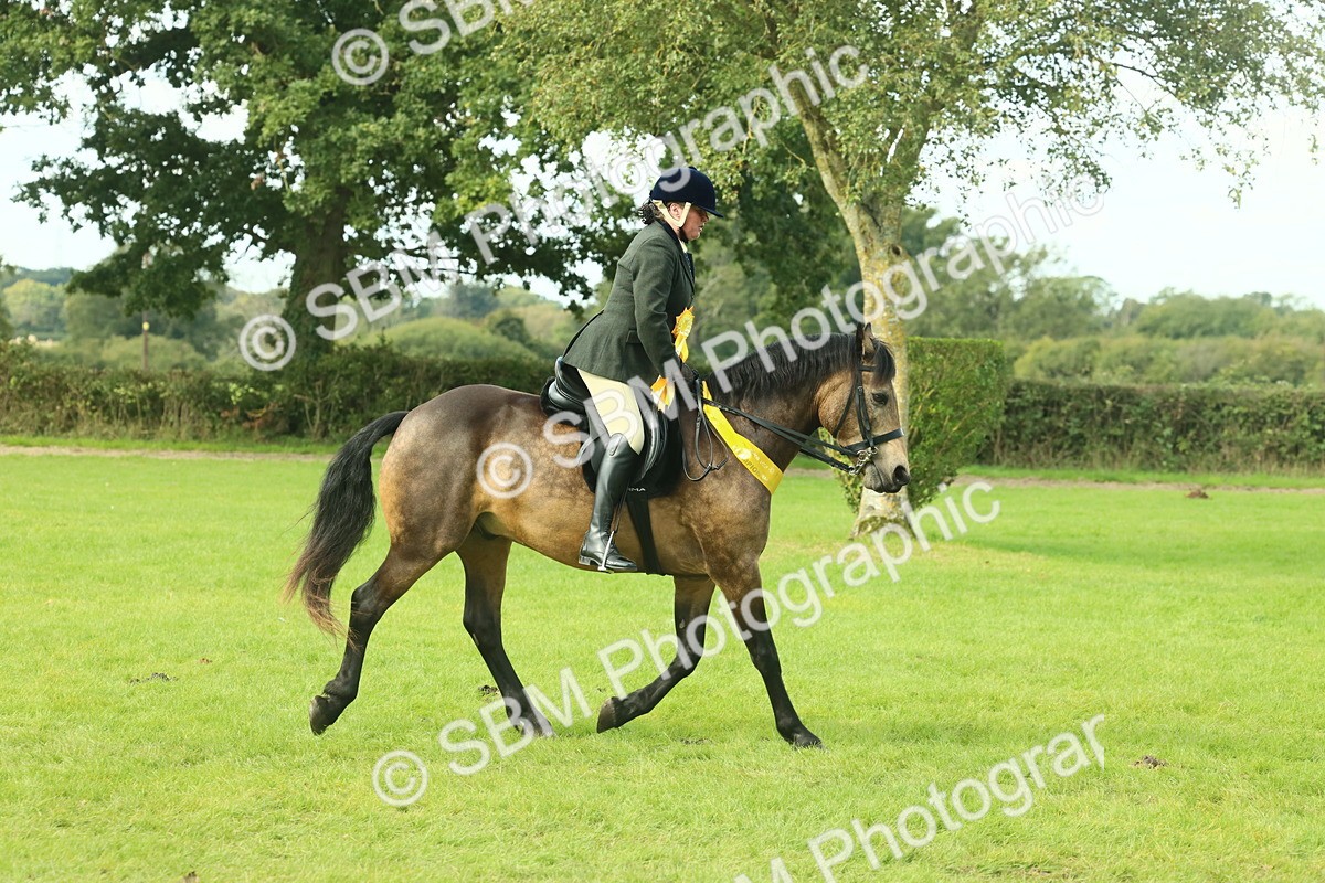SBM_62715 - S63 - Other Coloured Horse Ridden