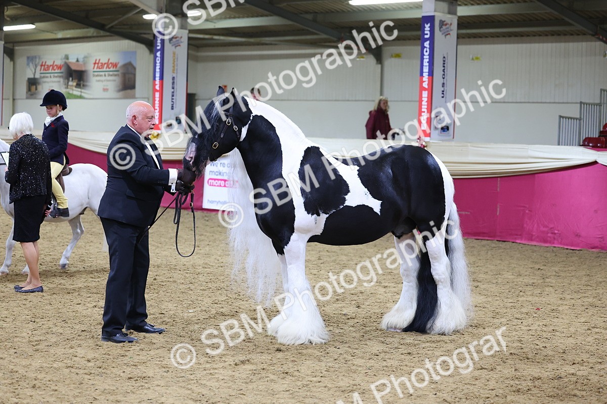 SBM_18652 - Class C Best Turned Out Champ