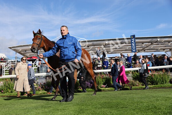 yr08102022r2-58 - Race 2 2.05pm The Coral Rockingham Stakes