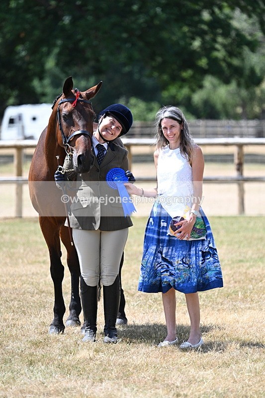 WJ7_2034 - Class 4a Prettiest Mare 14.2hh and over hand