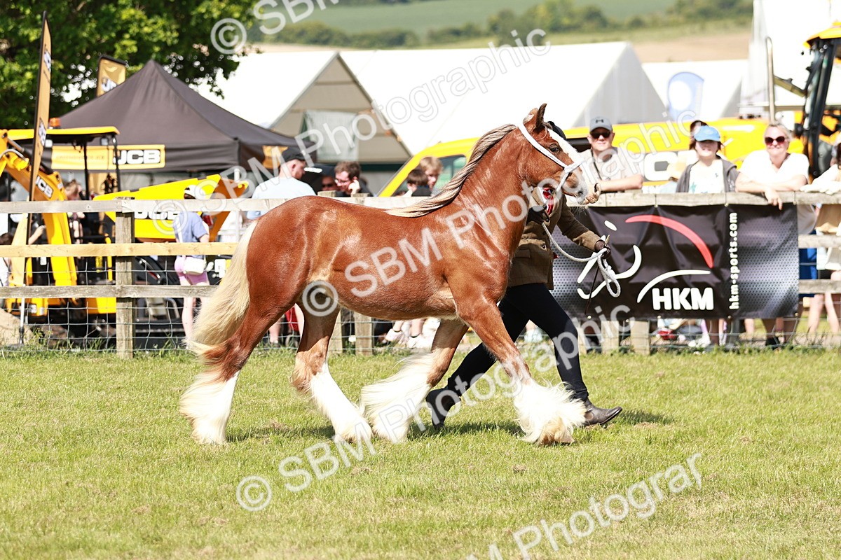 SBM_08556 - Class 63-65 - Traditional Gypsy Cobs In Hand & Ridden