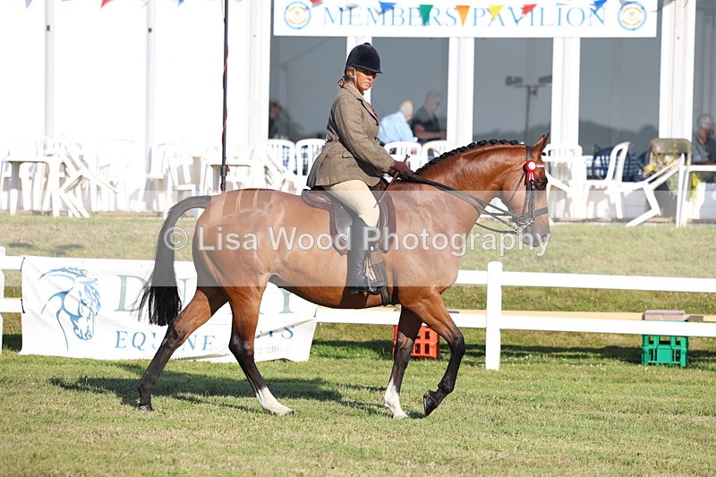 3E7A4890 - Class 1: Rising Star Small Hack/Riding Horses