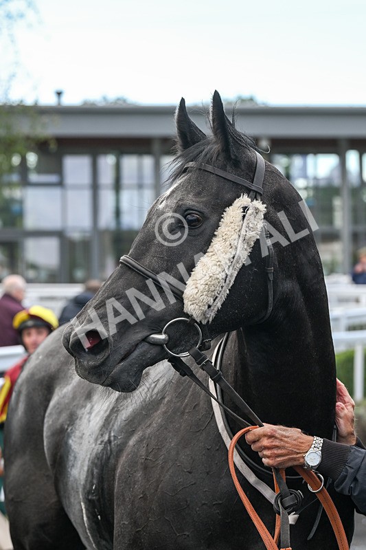 100924-Race 2-Keldeo-0082 - Race 2