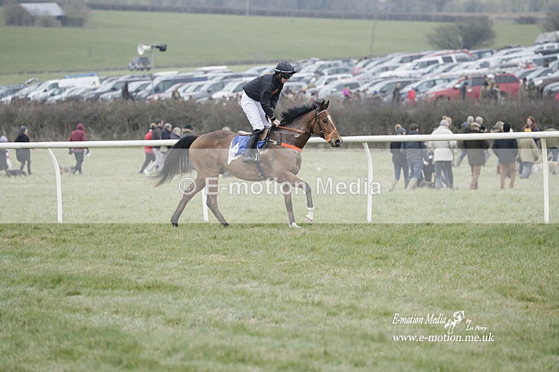 PtP 040323 607 - Duke of Beauforts Hunt Point-to-Point Didmarton 04/03/23