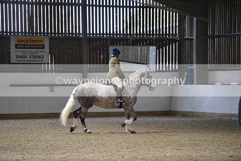 WJ5_8210 - Class 14 Novice Ridden/Rider