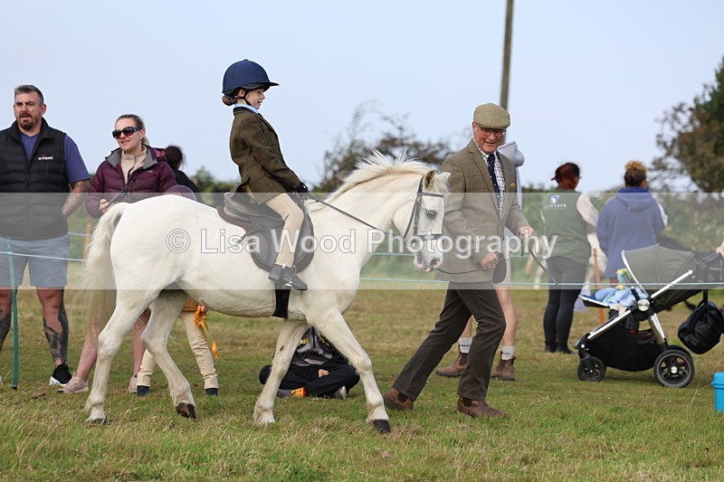 3E7A3485 - Class 2: Lead rein