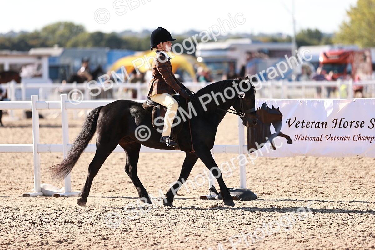 SBM_12453 - Class 403 - Grassroots Ridden - Junior