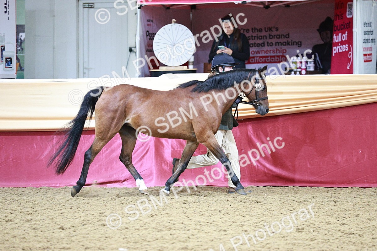 SBM_00191 - Class 1A - Area IH Diamond