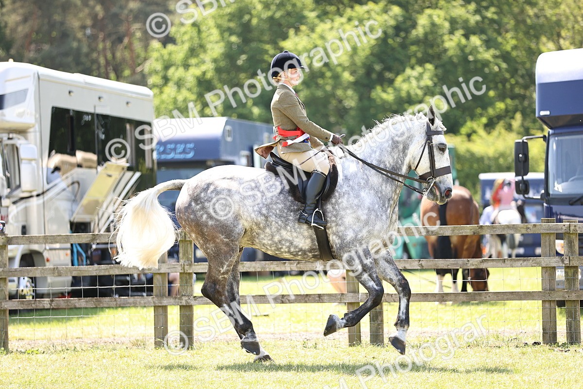 SBM_16240 - Class 79-80 - LIHS BSHA Rising Star Ridden Hunter