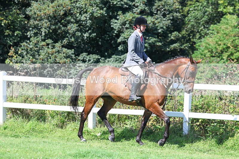 3E7A8324 - Class 4: Novice working Hunter