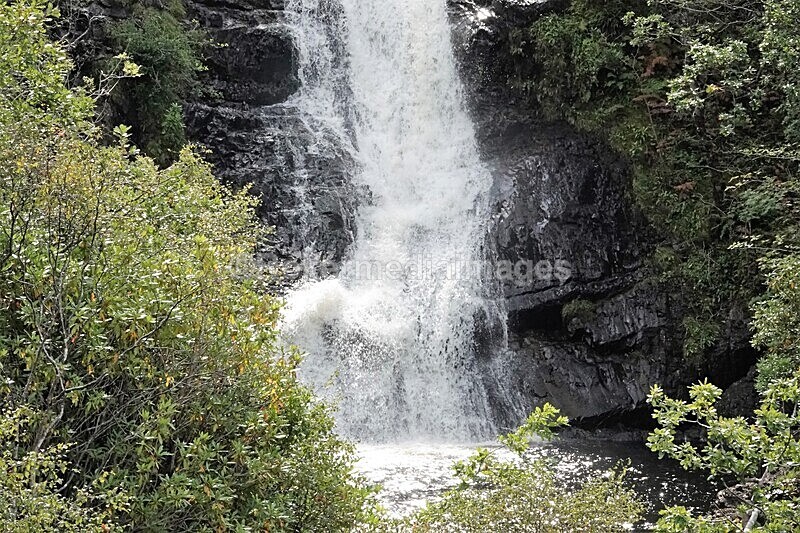 DSC07836 - SEPT 2020 STAYCATION