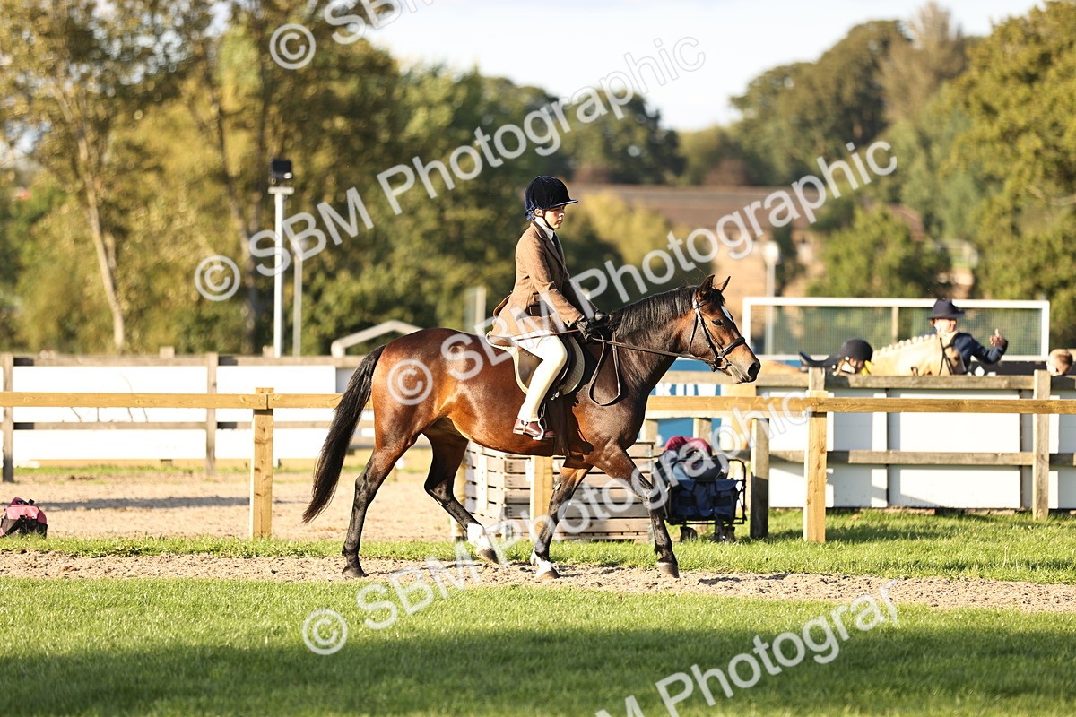 SBM_29612 - S7 - Novice & Newcomers Ridden Pony