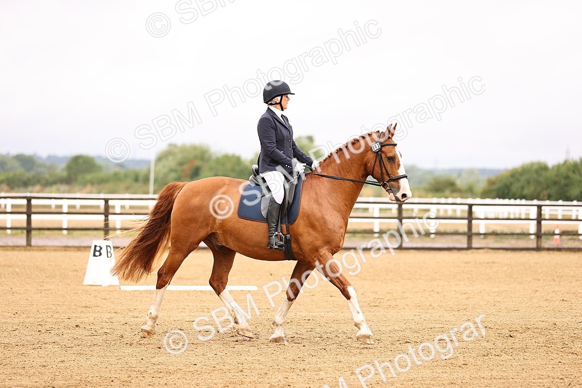 SBM_003206 - Class 3 - Prelim 2